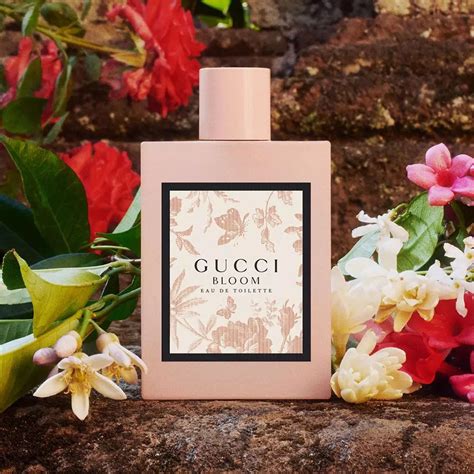 gucci bloom buy online|gucci bloom perfume smell.